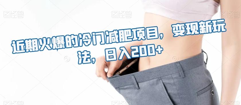 近期火爆的冷门减肥项目，变现新玩法，日入200+-识享社