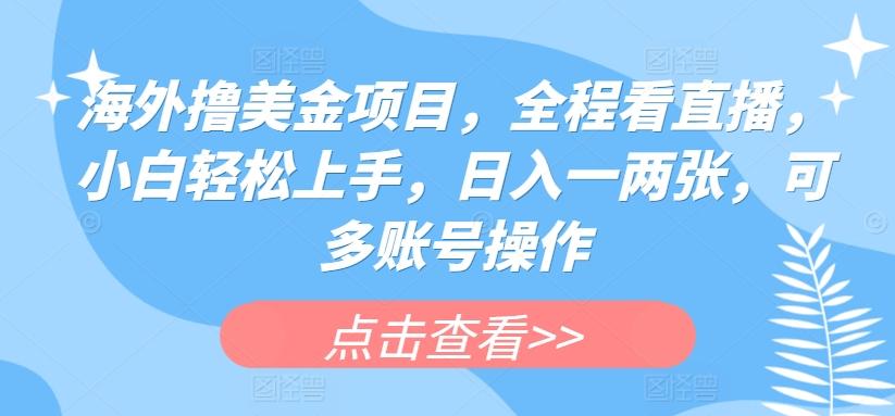 海外撸美金项目，全程看直播，小白轻松上手，日入一两张，可多账号操作【揭秘】-识享社