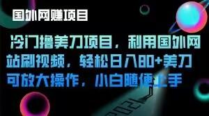 冷门撸美刀项目,利用国外网站刷视频,轻松日入80+美刀,可放大操作,小白随便上手-识享社