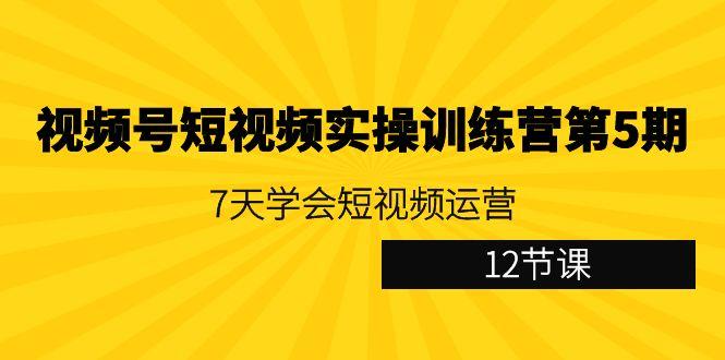 视频号短视频实操训练营第5期：7天学会短视频运营(12节课)-识享社