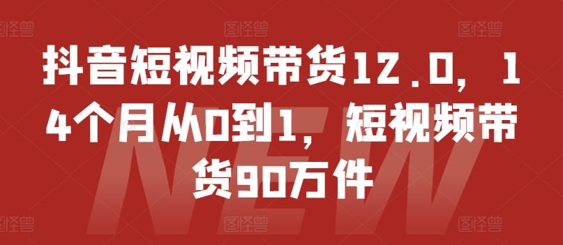 抖音短视频带货12.0，14个月从0到1，短视频带货90万件-识享社