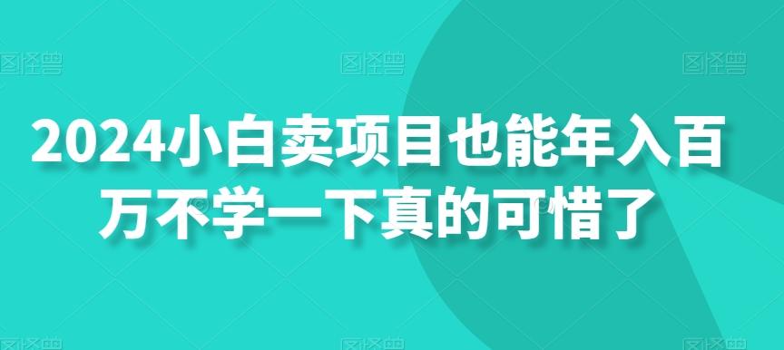 2024小白卖项目也能年入百万不学一下真的可惜了-识享社