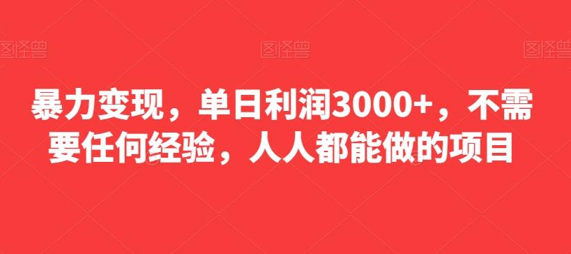 暴力变现，单日利润3000+，不需要任何经验，人人都能做的项目-识享社