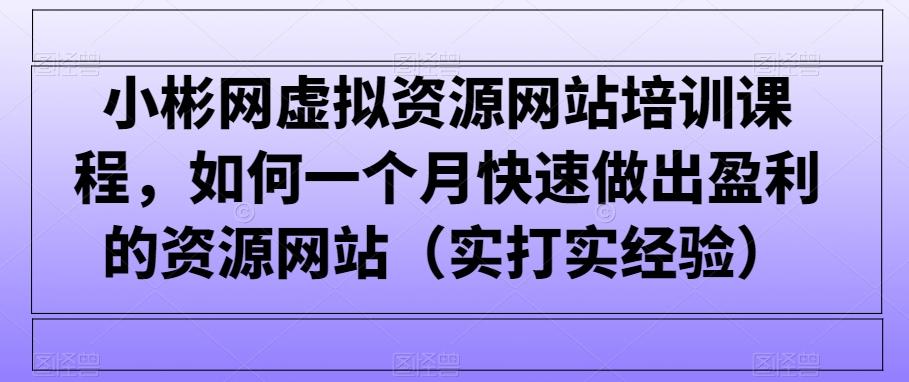 小彬网虚拟资源网站培训课程，如何一个月快速做出盈利的资源网站(实打实经验)-识享社