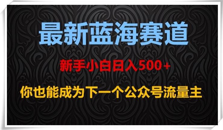 最新蓝海赛道，新手小白日入500+，你也能成为下一个公众号流量主【揭秘】-识享社