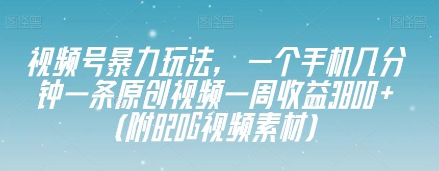 视频号暴力玩法，一个手机几分钟一条原创视频一周收益3800+（附820G视频素材）-识享社