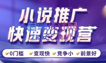 洲洲老师·小说推广快速变现营-识享社