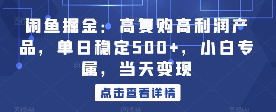 闲鱼掘金：高复购高利润产品，单日稳定500+，小白专属，当天变现-识享社