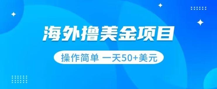 撸美金项目无门槛操作简单小白一天50+美刀-识享社
