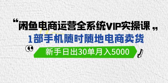 (9547期)闲鱼电商运营全系统VIP实战课，1部手机随时随地卖货，新手日出30单月入5000-识享社