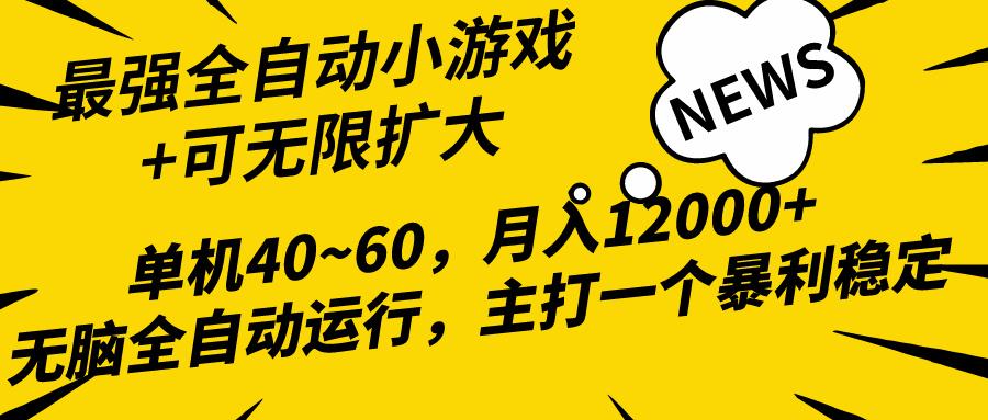 (10046期)2024最新全网独家小游戏全自动，单机40~60,稳定躺赚，小白都能月入过万-识享社