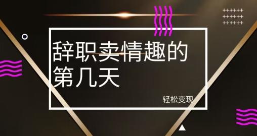 冷门赛道，辞职卖情趣的第几天，超暴力项目-识享社