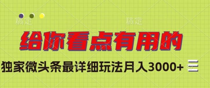 独家微头条最详细玩法，月入3000+【揭秘】-识享社