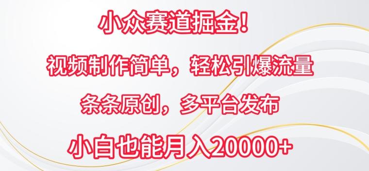 小众赛道掘金，视频制作简单，轻松引爆流量，条条原创，多平台发布【揭秘】-识享社