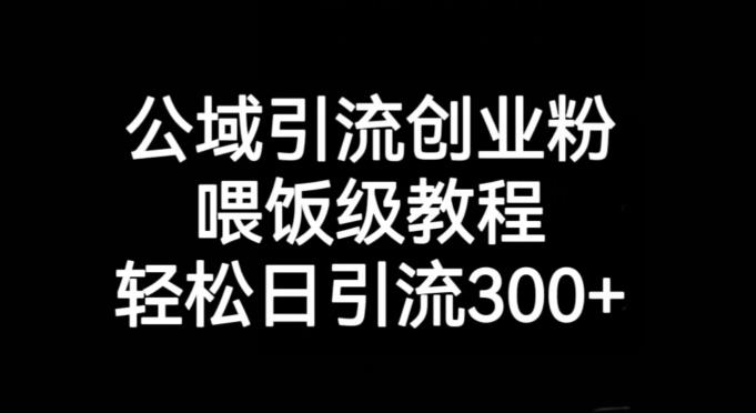 公域引流创业粉，喂饭级教程，轻松日引流300+【揭秘】-识享社