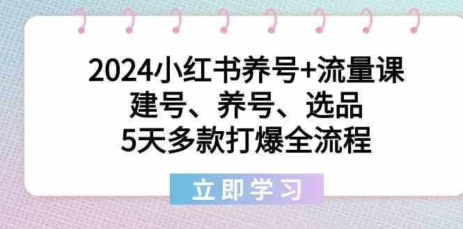 2024小红书养号+流量课：建号、养号、选品，5天多款打爆全流程-识享社