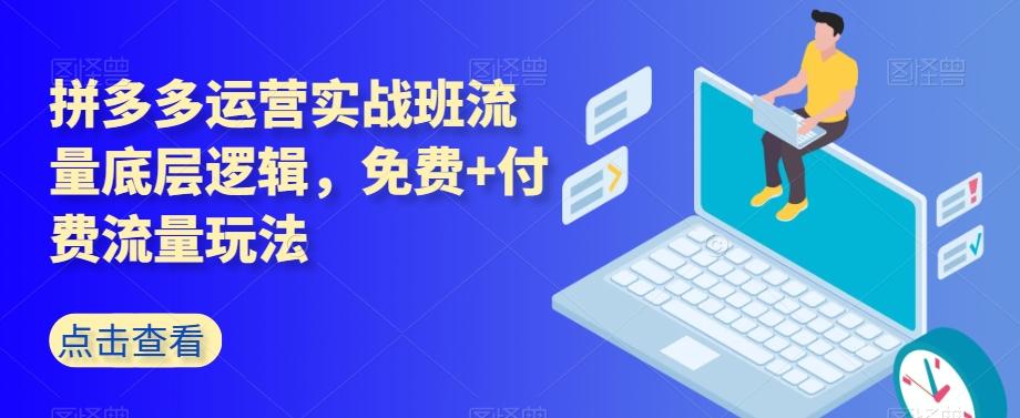 拼多多运营实战班流量底层逻辑，免费+付费流量玩法-识享社