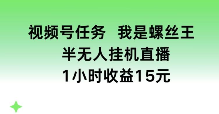 视频号任务，我是螺丝王， 半无人挂机1小时收益15元【揭秘】-识享社