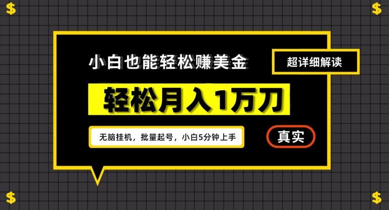 谷歌看广告撸美金2.0，无脑挂机，多号操作，月入1万刀【揭秘】-识享社