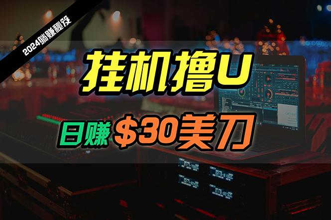 (10013期)日赚30美刀，2024最新海外挂机撸U内部项目，全程无人值守，可批量放大-识享社