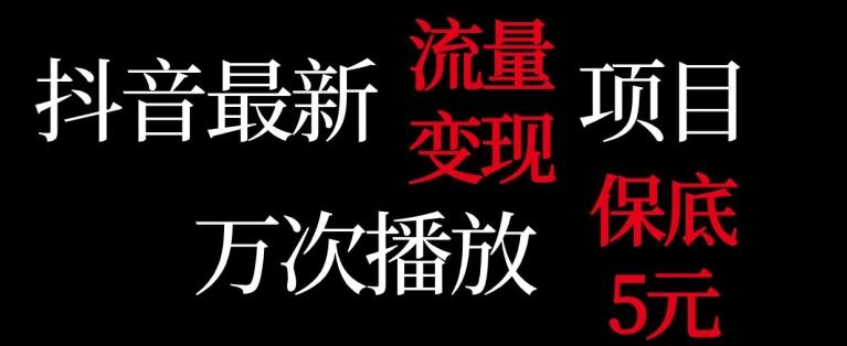抖音流量变现，万次播放保底5元，额外收入-识享社