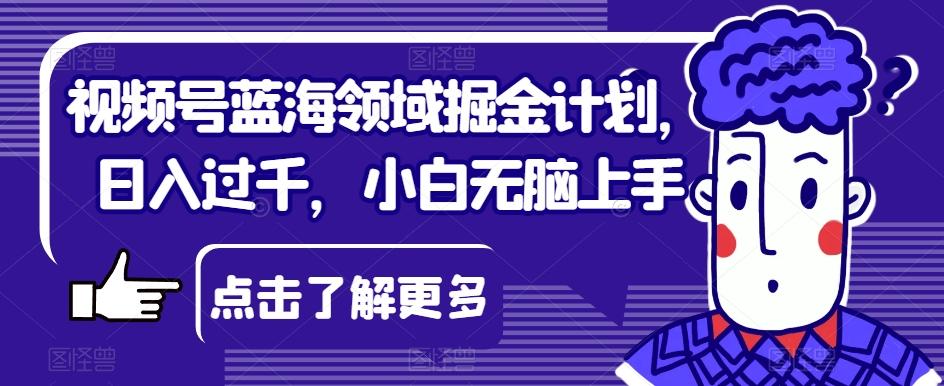 视频号蓝海领域掘金计划，日入过千，小白无脑上手【揭秘】-识享社