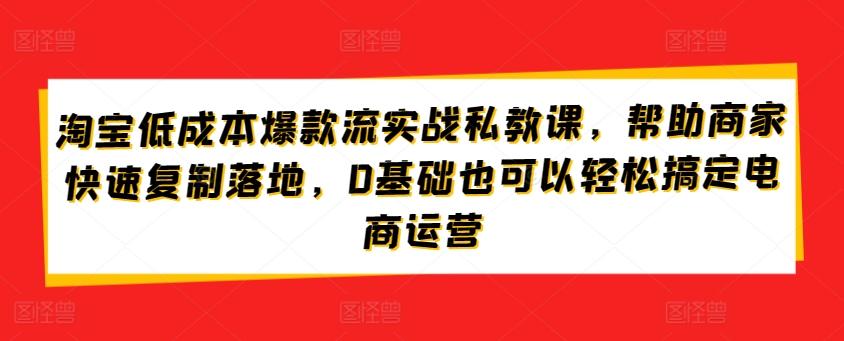 淘宝低成本爆款流实战私教课，帮助商家快速复制落地，0基础也可以轻松搞定电商运营-识享社