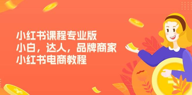 小红书课程专业版,小白,达人,品牌商家,小红书电商教程(15节-识享社