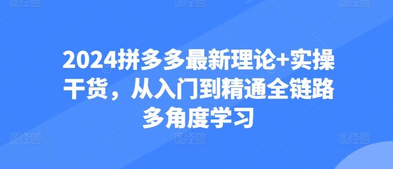 2024拼多多最新理论+实操干货，从入门到精通全链路多角度学习-识享社