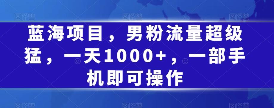 蓝海项目,男粉流量超级猛,一天1000+,一部手机即可操作【揭秘】-识享社
