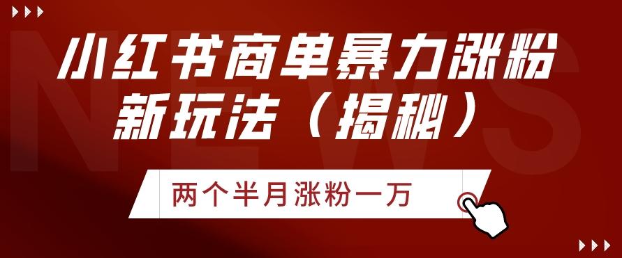小红书商单暴力涨粉新玩法两个半月涨粉一万（揭秘）-识享社