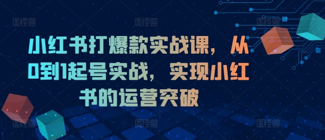 小红书打爆款实战课,从0到1起号实战,实现小红书的运营突破-识享社