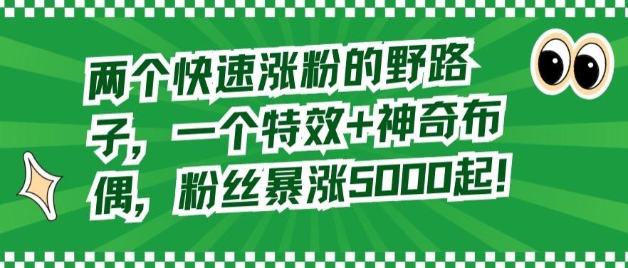 两个快速涨粉的野路子，一个特效+神奇布偶，粉丝暴涨5000起【揭秘】-识享社