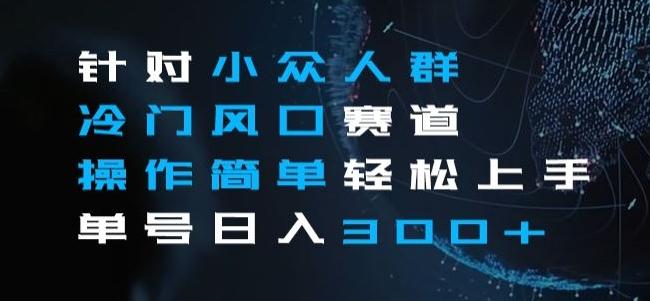 针对小众人群冷门风口赛道,操作简单轻松上手单号日入300+-识享社