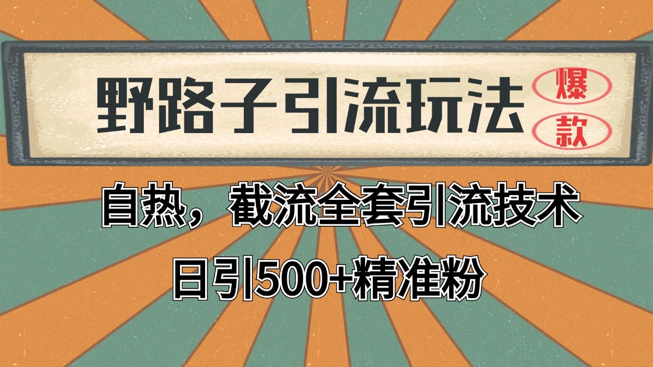 抖音小红书视频号全平台引流打法，全自动引流日引2000+精准客户-识享社