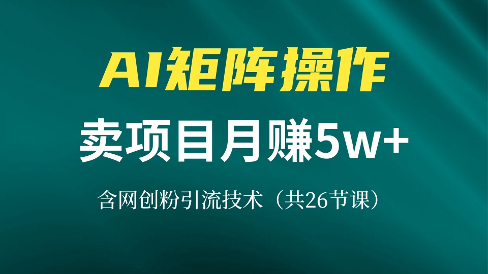 网创IP打造课,借助AI卖项目月赚5万+,含引流技术(共26节课-识享社
