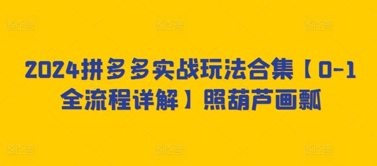 2024拼多多实战玩法合集【0-1全流程详解】照葫芦画瓢-识享社