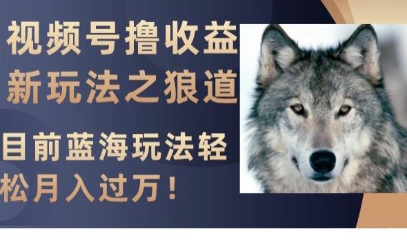 视频号撸收益新玩法之狼道，目前蓝海玩法，轻松月入过万【揭秘】-识享社