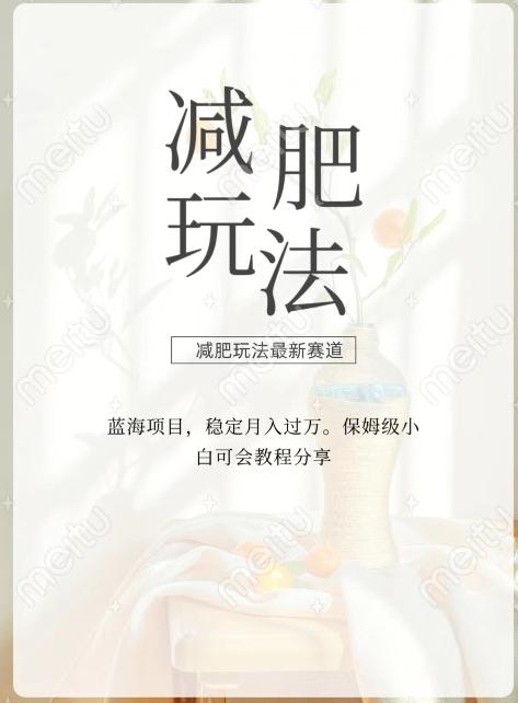 减肥流量主新玩法，轻松月入1W，可矩阵操作收入翻倍-识享社