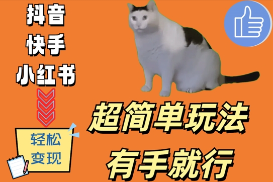 超简单玩法，有手就行，靠猫咪视频日入500+【揭秘】-识享社
