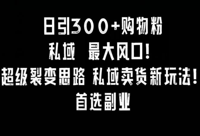 日引300+购物粉,超级裂变思路,私域卖货新玩法,小红书首选副业【揭秘】-识享社