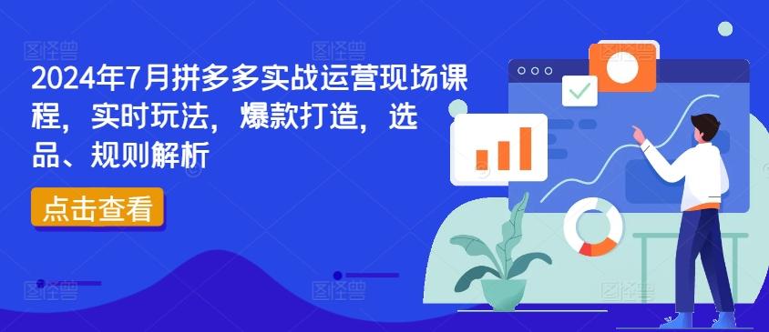 2024年7月拼多多实战运营现场课程,实时玩法,爆款打造,选品、规则解析-识享社