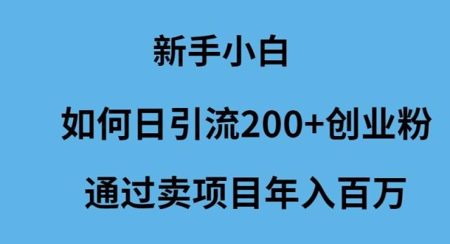 (9668期)新手小白如何日引流200+创业粉通过卖项目年入百万-识享社