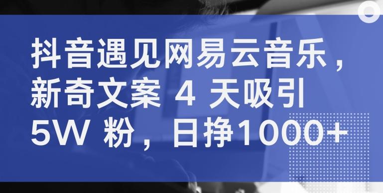 抖音遇见网易云音乐，新奇文案 4 天吸引 5W 粉，日挣1000+【揭秘】-识享社