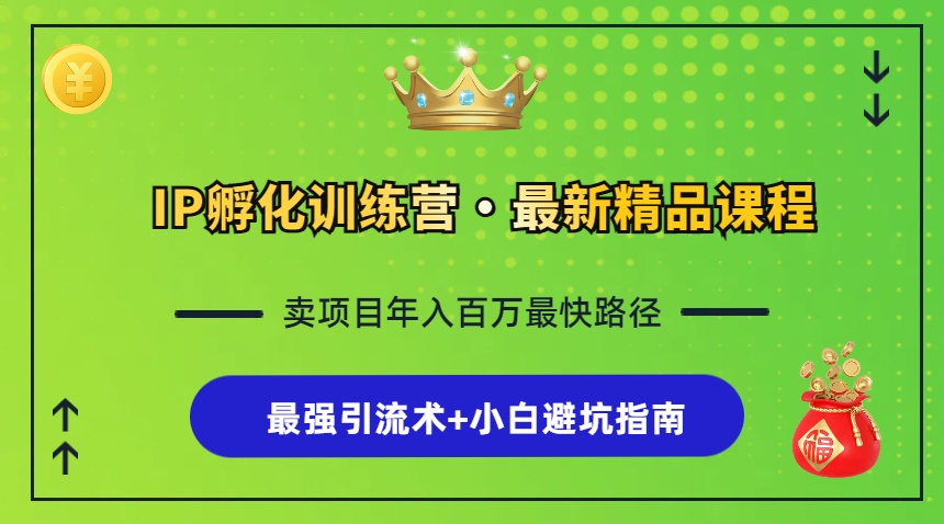 IP孵化训练营，知识付费全流程+最强引流术+小白避坑指南-识享社