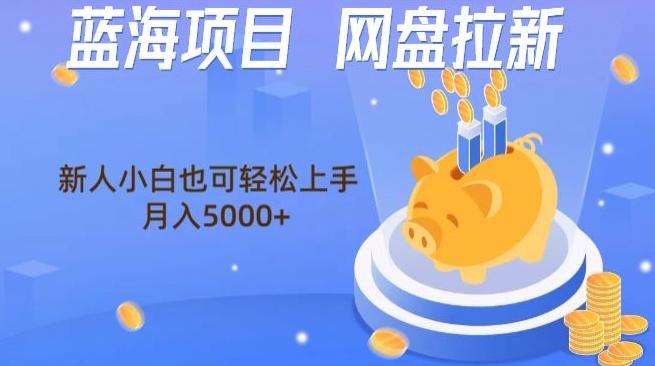蓝海项目网盘拉新,新人小白也可操作,每月收入5000+-识享社