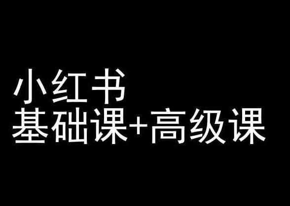 小红书基础课+高级课-小红书运营教程-识享社