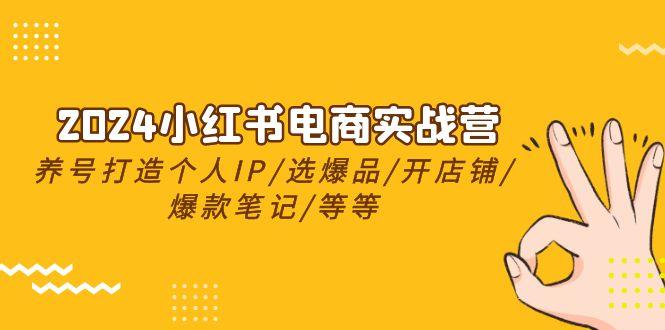 2024小红书电商实战营，养号打造IP/选爆品/开店铺/爆款笔记/等等(24节)-识享社