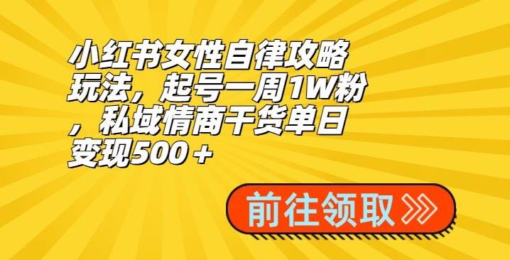 小红书女性自律攻略玩法,起号一周1W粉,私域情商干货单日变现500+-识享社