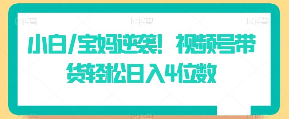 小白/宝妈逆袭!视频号带货轻松日入4位数【揭秘】-识享社